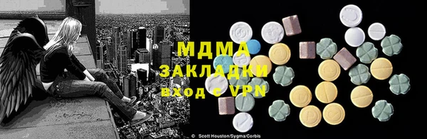 хмурый Арсеньев