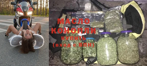 хмурый Арсеньев