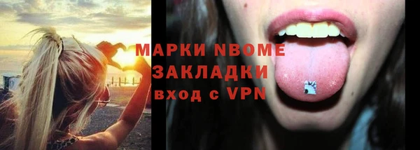 хмурый Арсеньев
