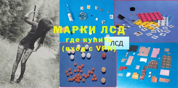 хмурый Арсеньев