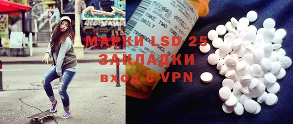 хмурый Арсеньев