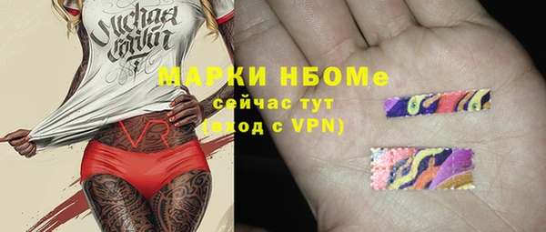 хмурый Арсеньев