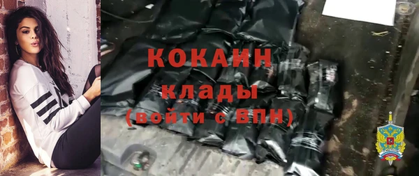 хмурый Арсеньев