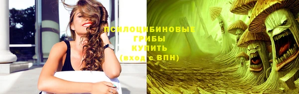 МДПВ Армянск